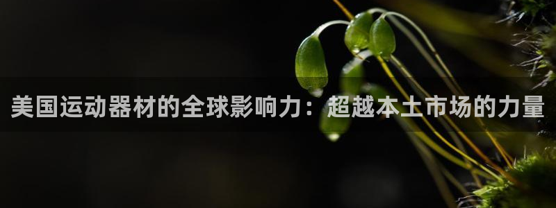 征途国际新能源:美国运动器材的全球影响力:超越本土市场的力量
