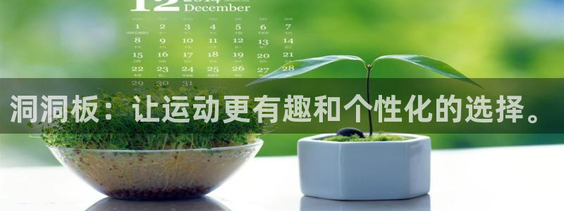 征途国际集团官网首页:洞洞板:让运动更有趣和个性化的选择。