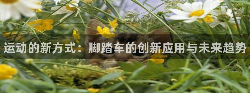 征途国际:运动的新方式:脚踏车的创新应用与未来趋势
